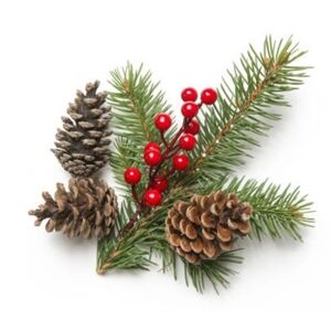 7 Festive Pinecone Holiday Decorations
